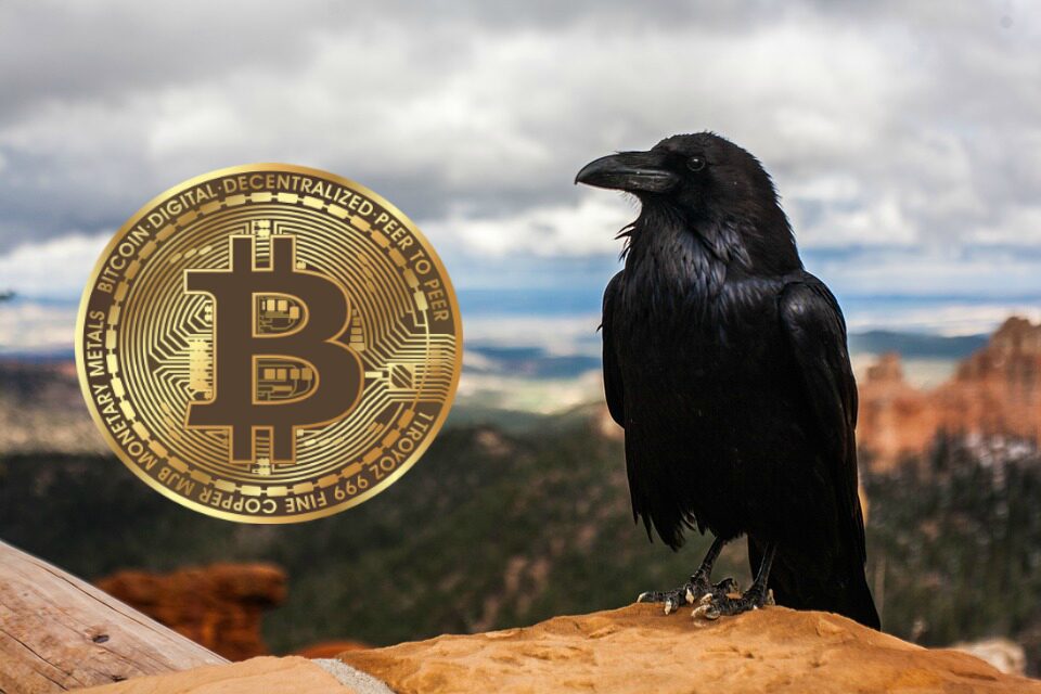 Ravencoin vs. Bitcoin: How to Transfer Truth